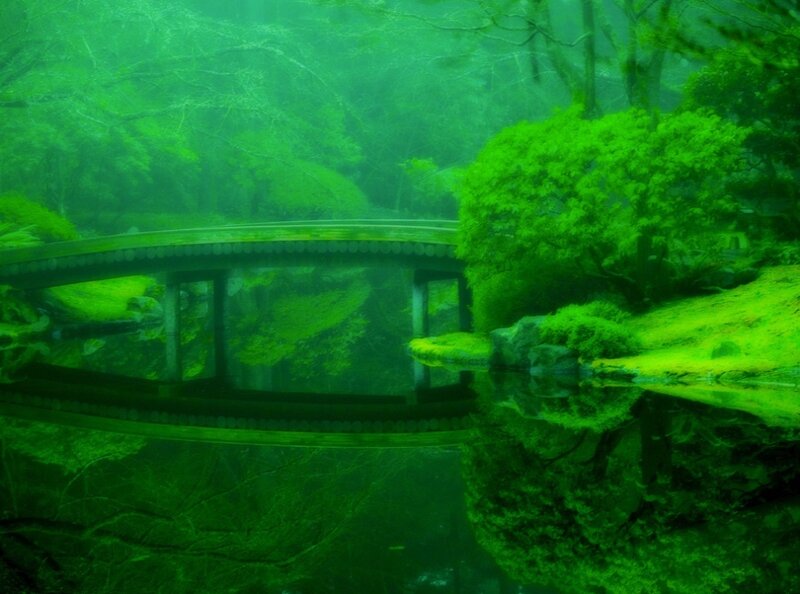 Green Bridge in Forest — Serene