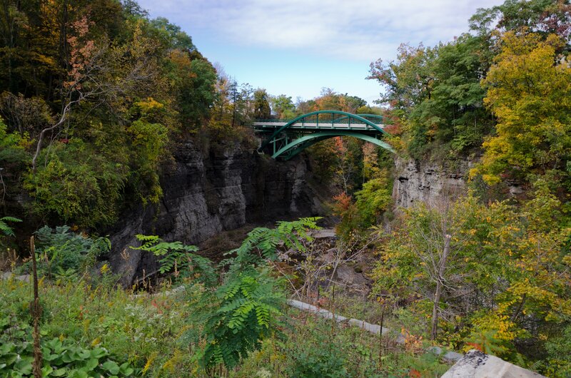 Green bridge over a canyon