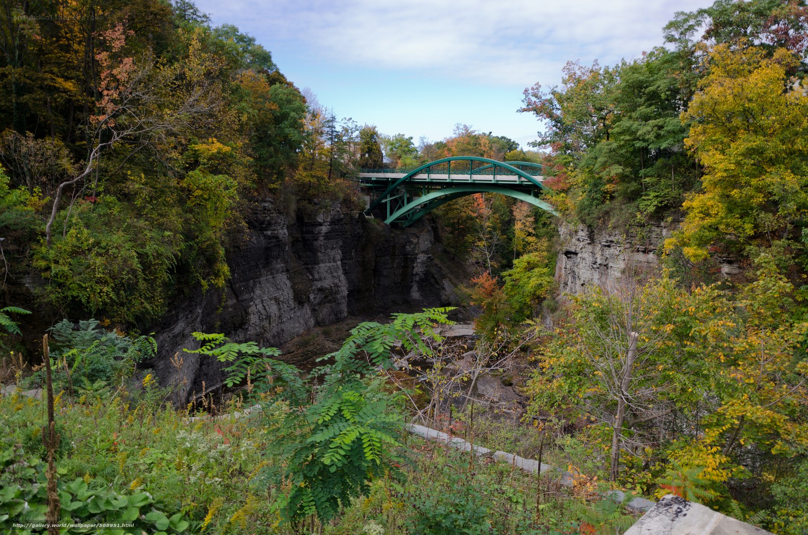 Green bridge over canyon