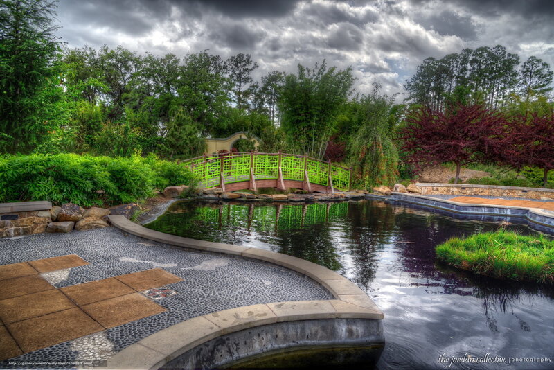Green Bridge over Pond — Dramatic, Afternoon, Photograph