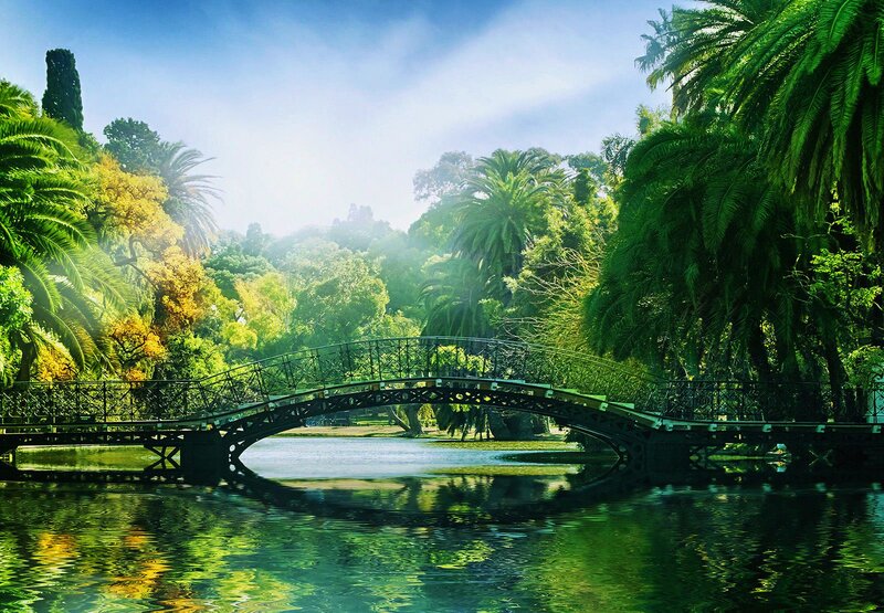 Green Bridge over Pond — Serene