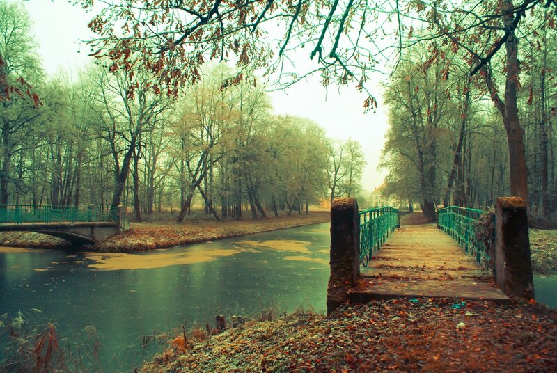 Green Bridge over River — Serene, Autumn, Photograph, Trees