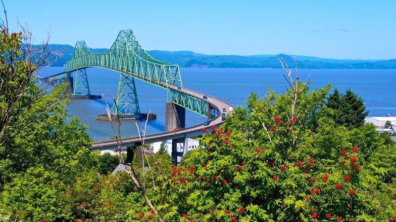 Green Bridge over Water — Serene