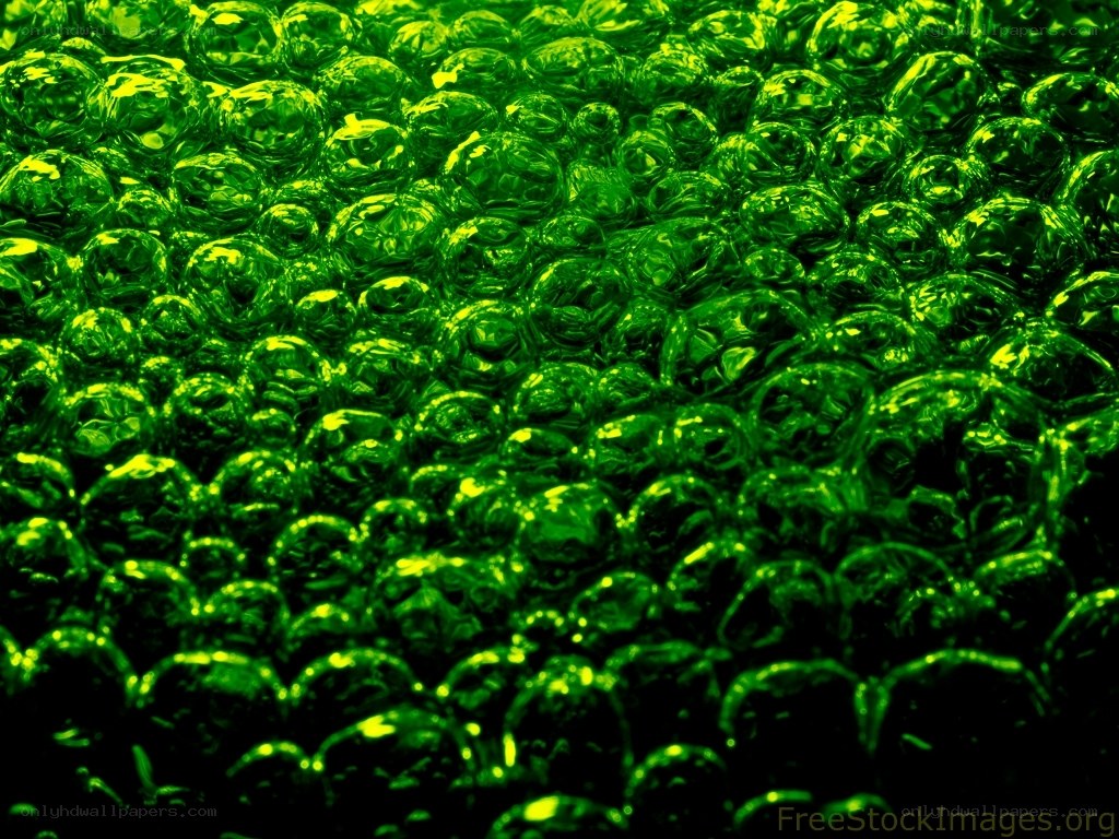 green bubble wrap texture