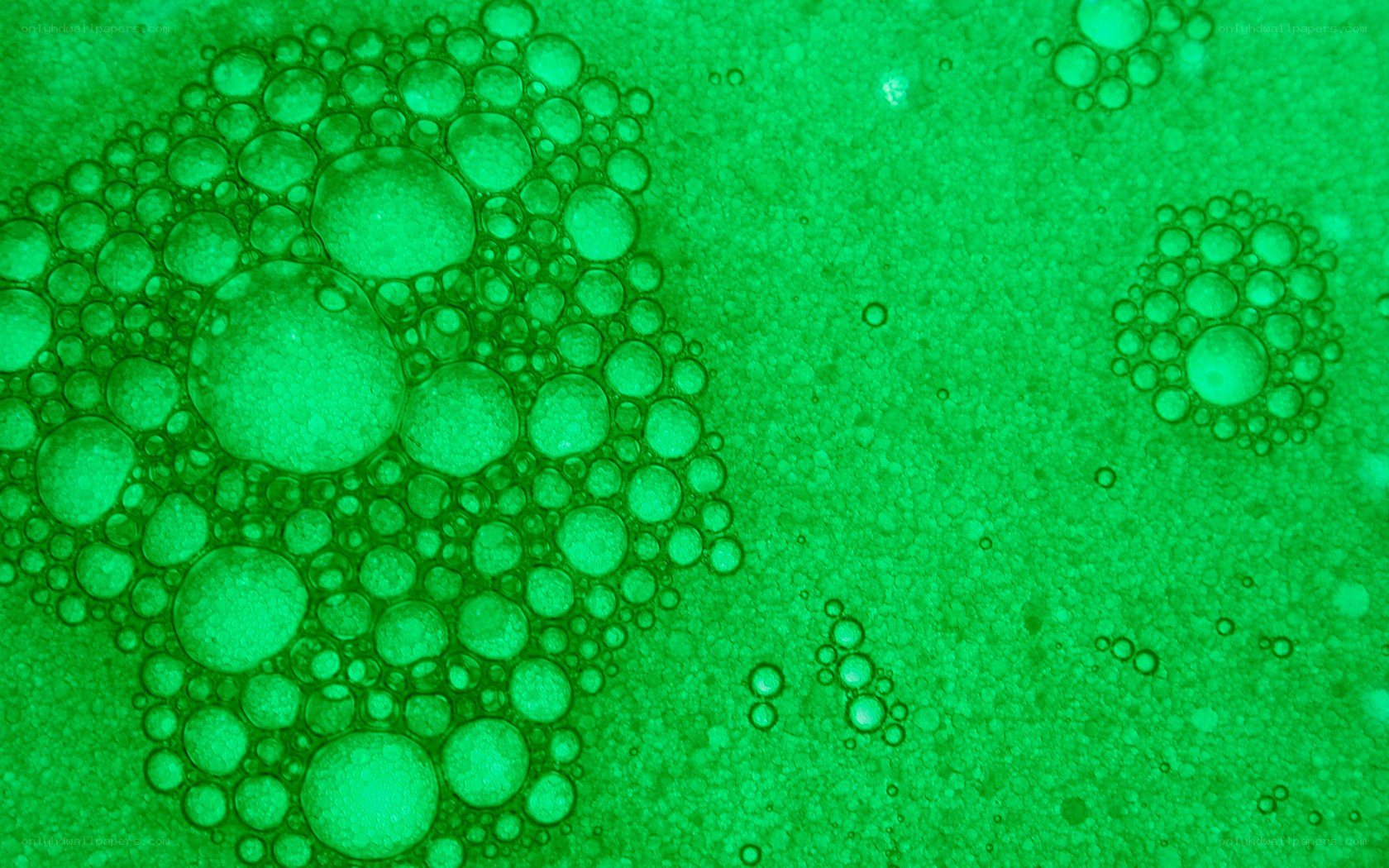 green bubbles in liquid
