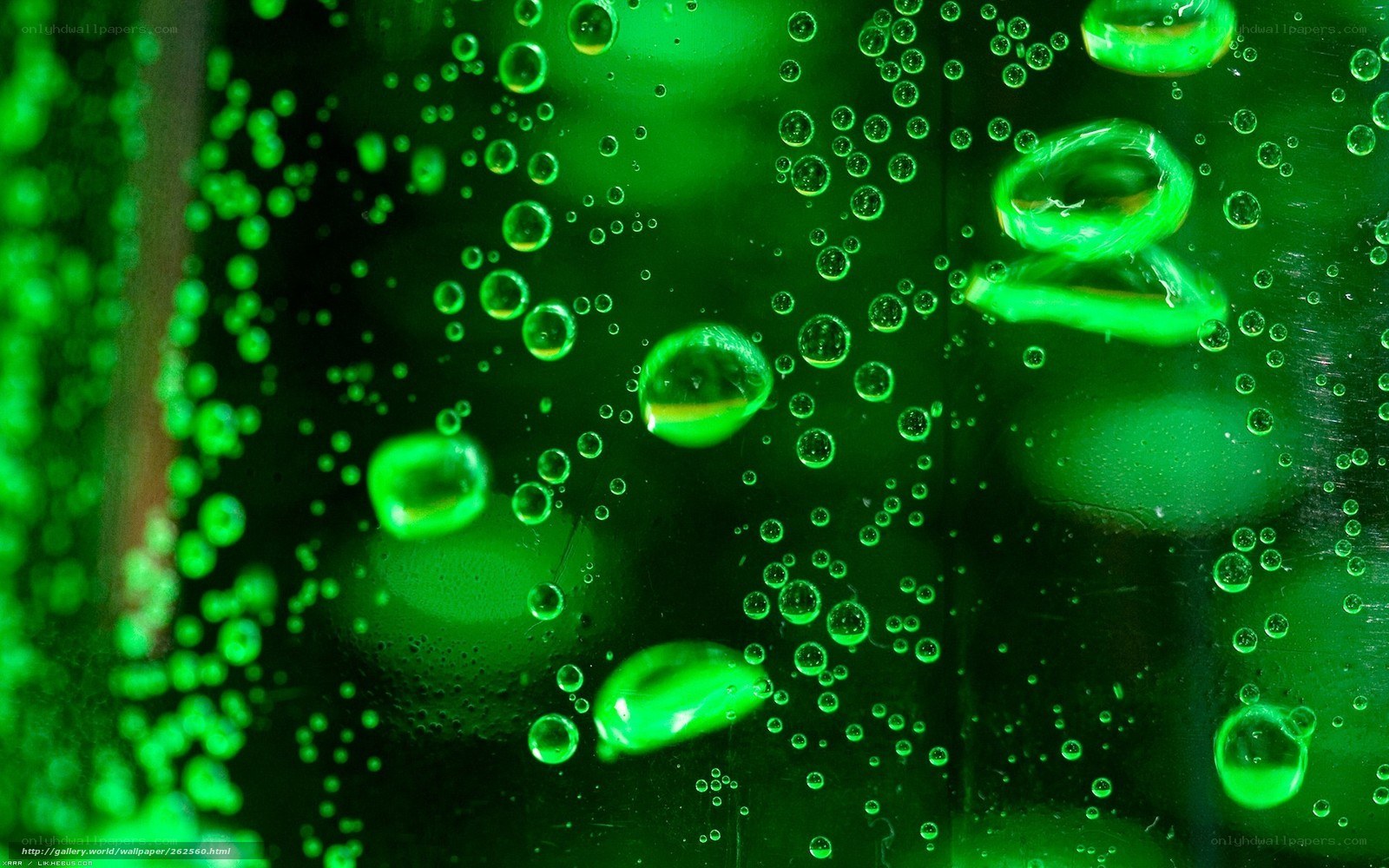 green bubbles on glass