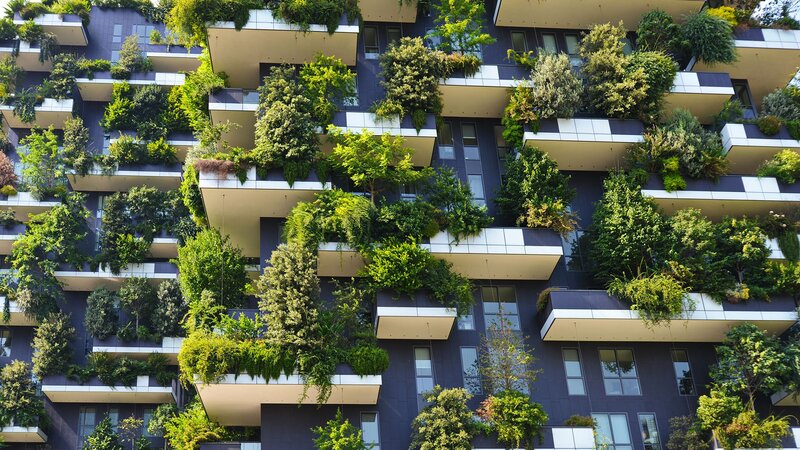 Green Building Facade — Serene, Afternoon