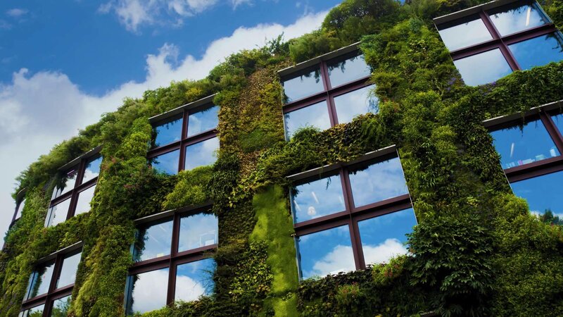 Green Building Facade — Serene