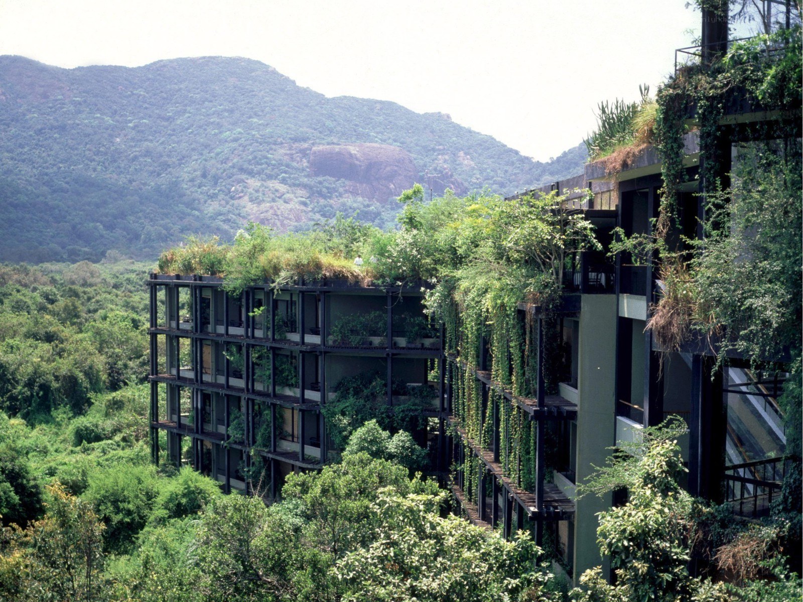 green building in forested mountains