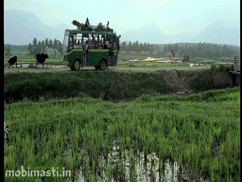 Green Bus on Rural Road