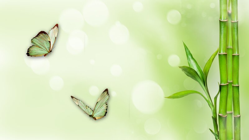 Green Butterflies and Bamboo
