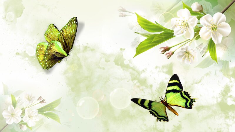 Green Butterflies and Flowers — Serene