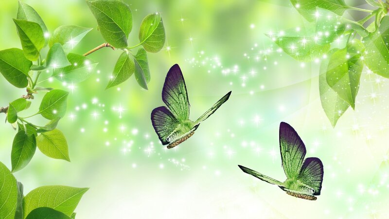 Green Butterflies Flying