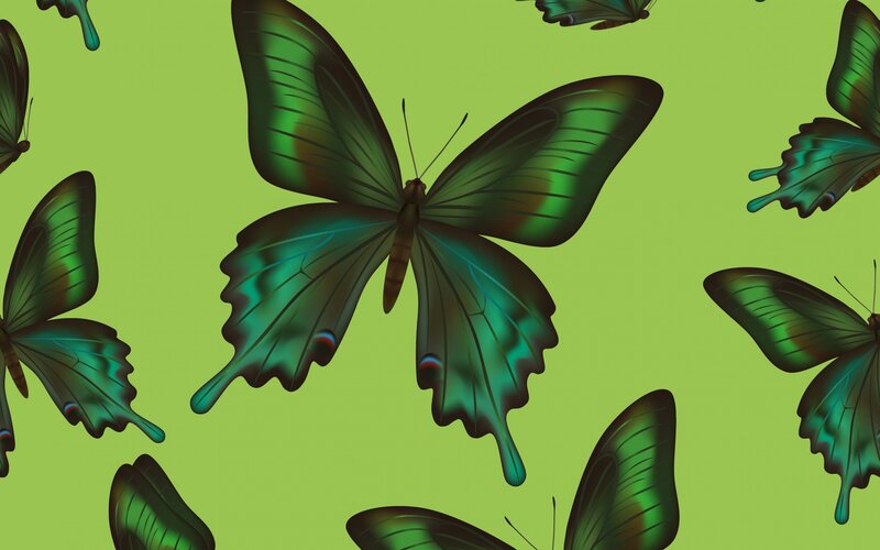 Green Butterflies on Green