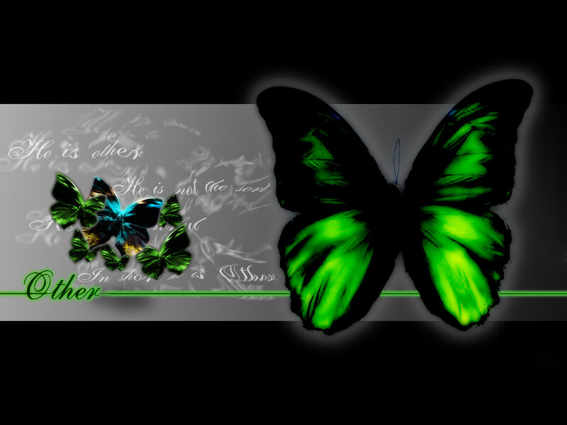 Green butterflies with text