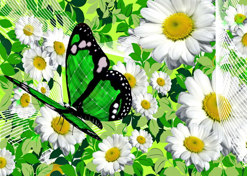 Green Butterfly Among Daisies — Vibrant