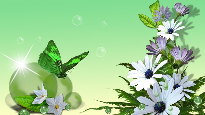 Green Butterfly and Flowers — Serene