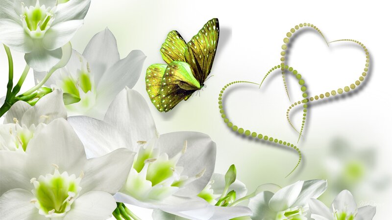 Green Butterfly and White Flowers