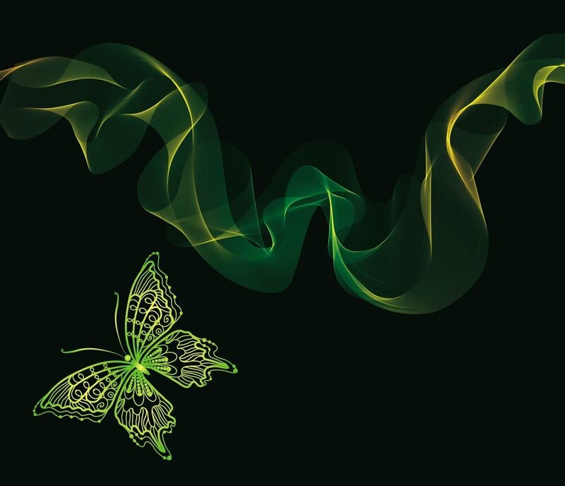 Green Butterfly Illustration