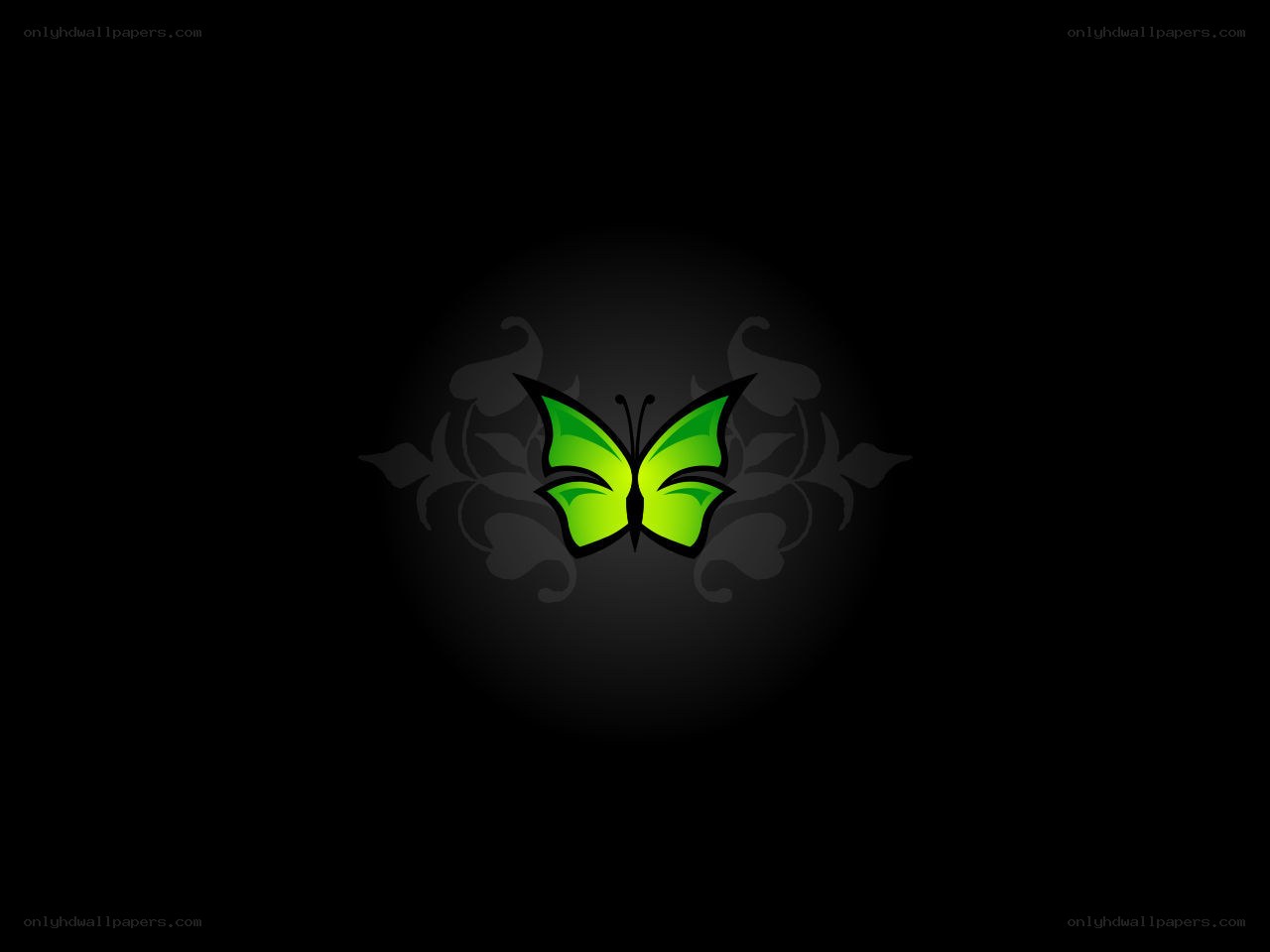 green butterfly logo design