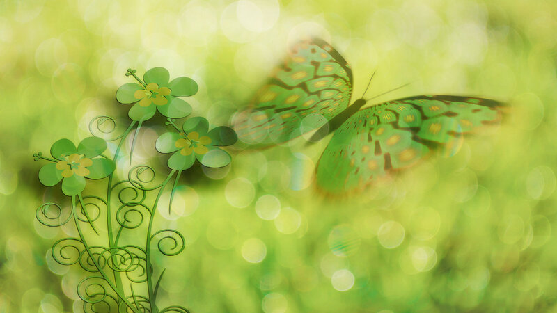 Green Butterfly Near Flowers