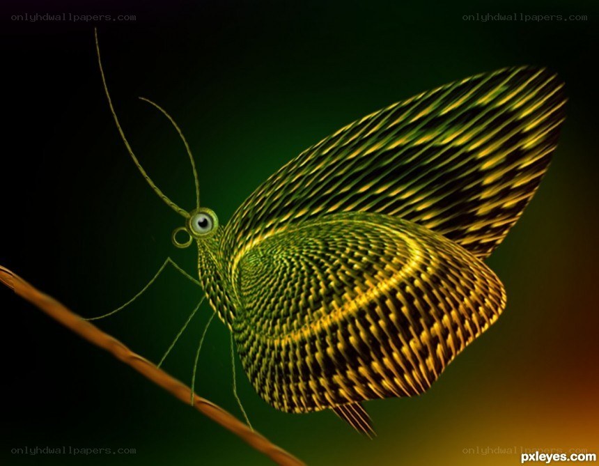 green butterfly on branch