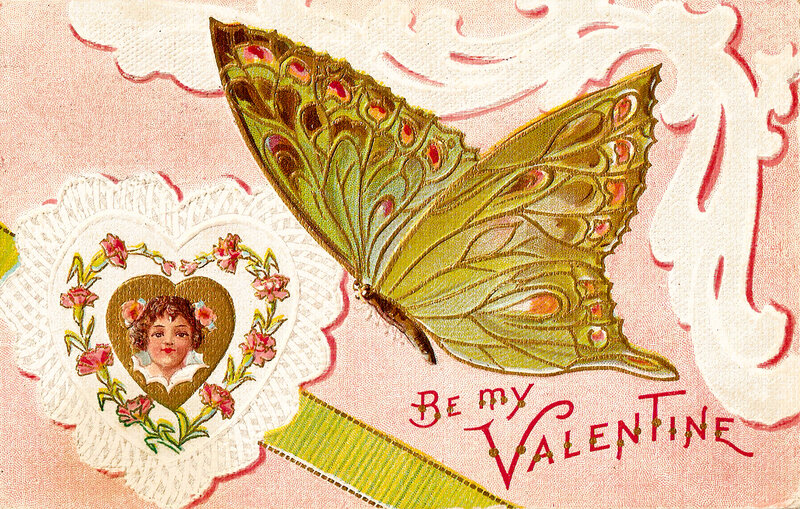 Green Butterfly on Card