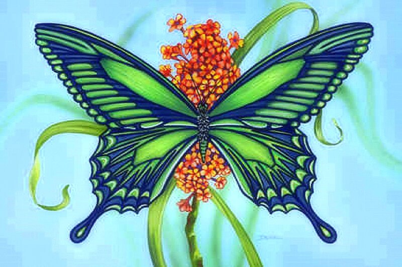 Green Butterfly on Flower — Serene, Illustration