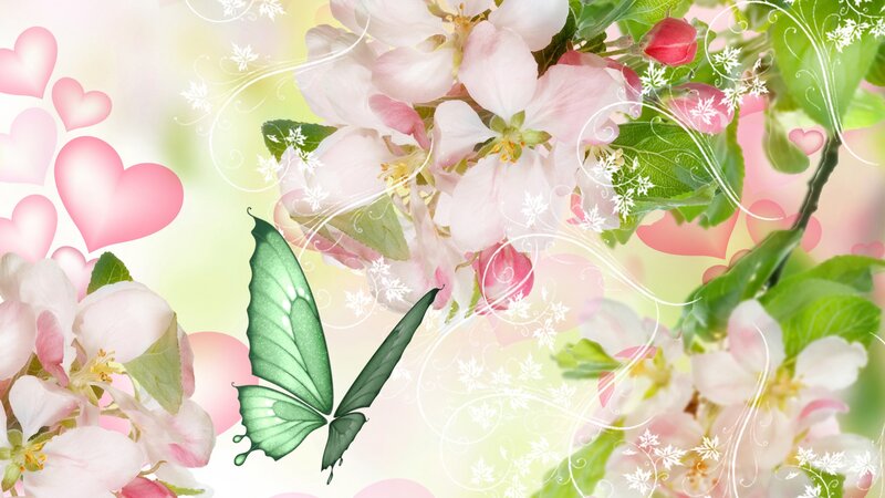 Green Butterfly on Flowers