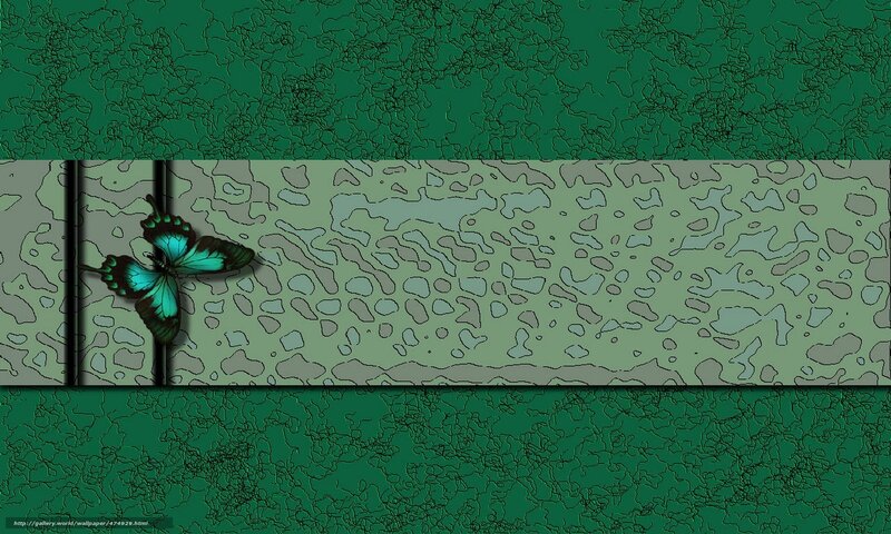 green butterfly wallpaper