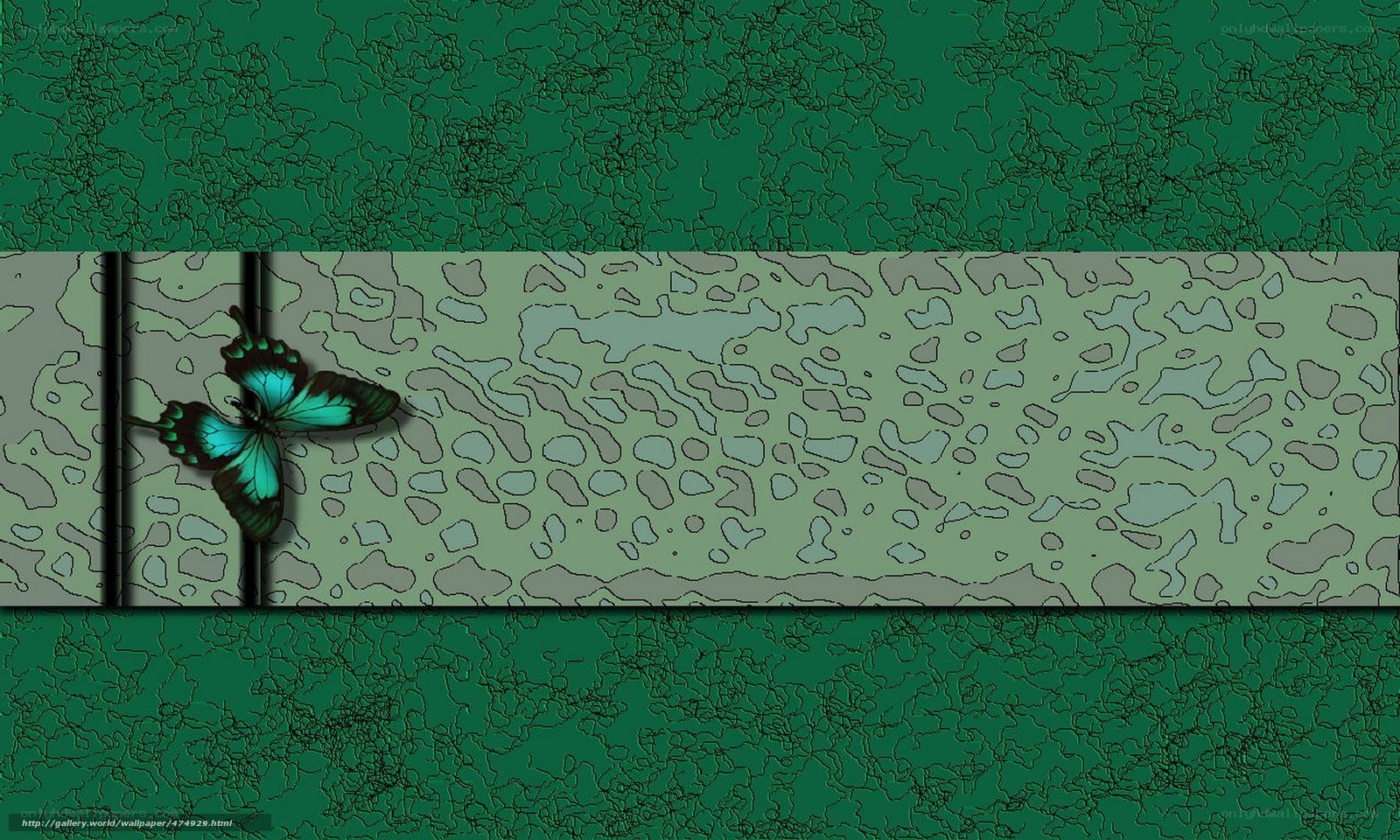 green butterfly wallpaper