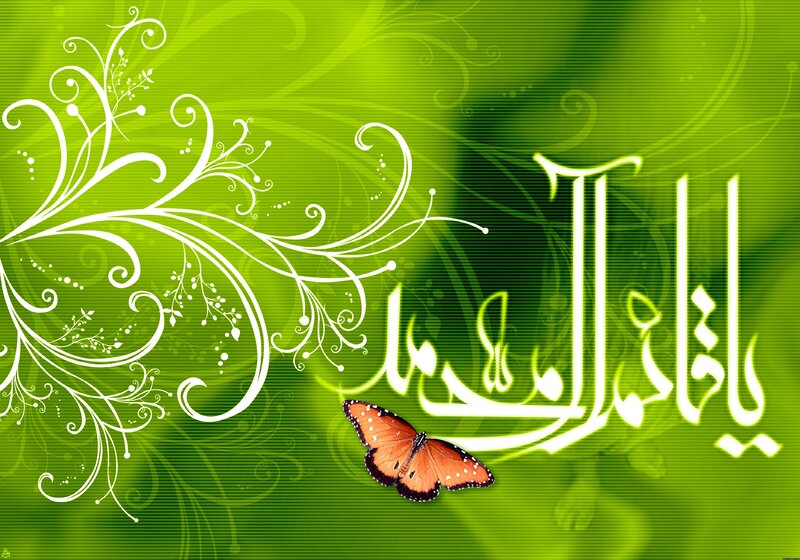 green butterfly with arabic calligraphy