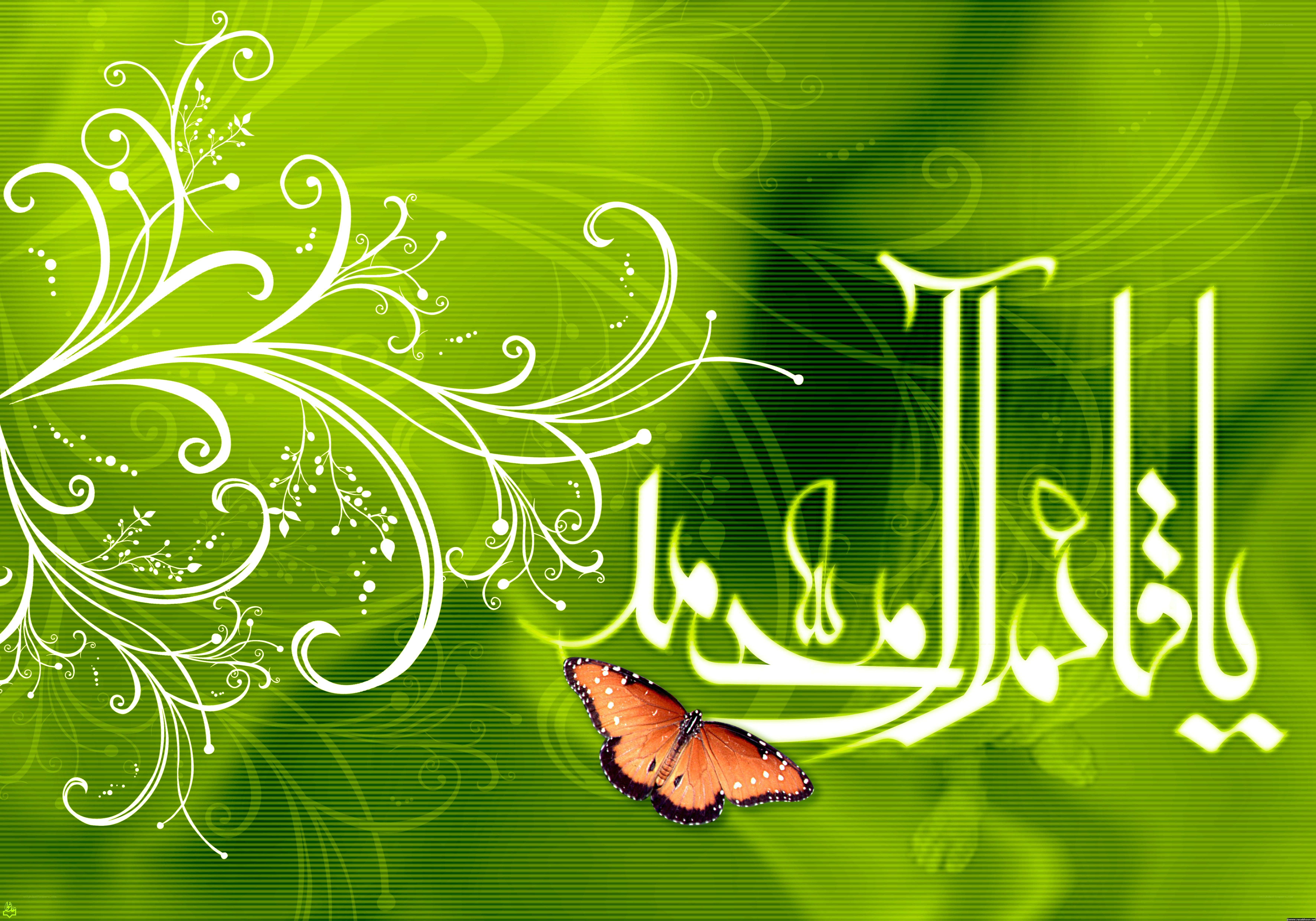 green butterfly with arabic calligraphy