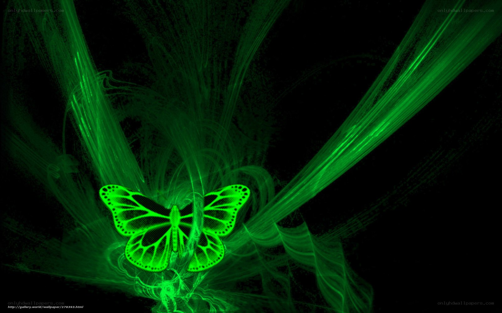 Green butterfly with fractal background
