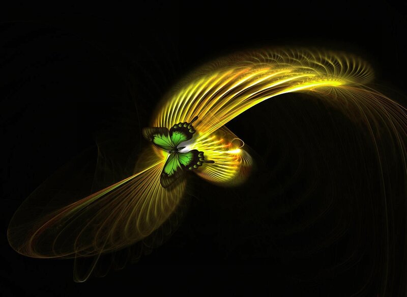 green butterfly with golden light