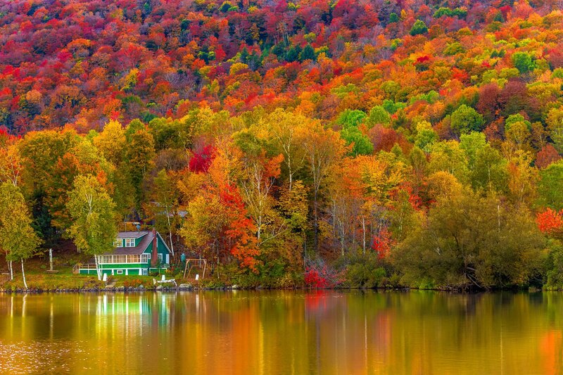 Green Cabin by Lake