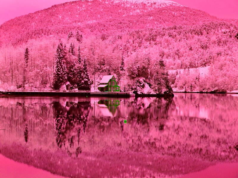 Green Cabin on Lake