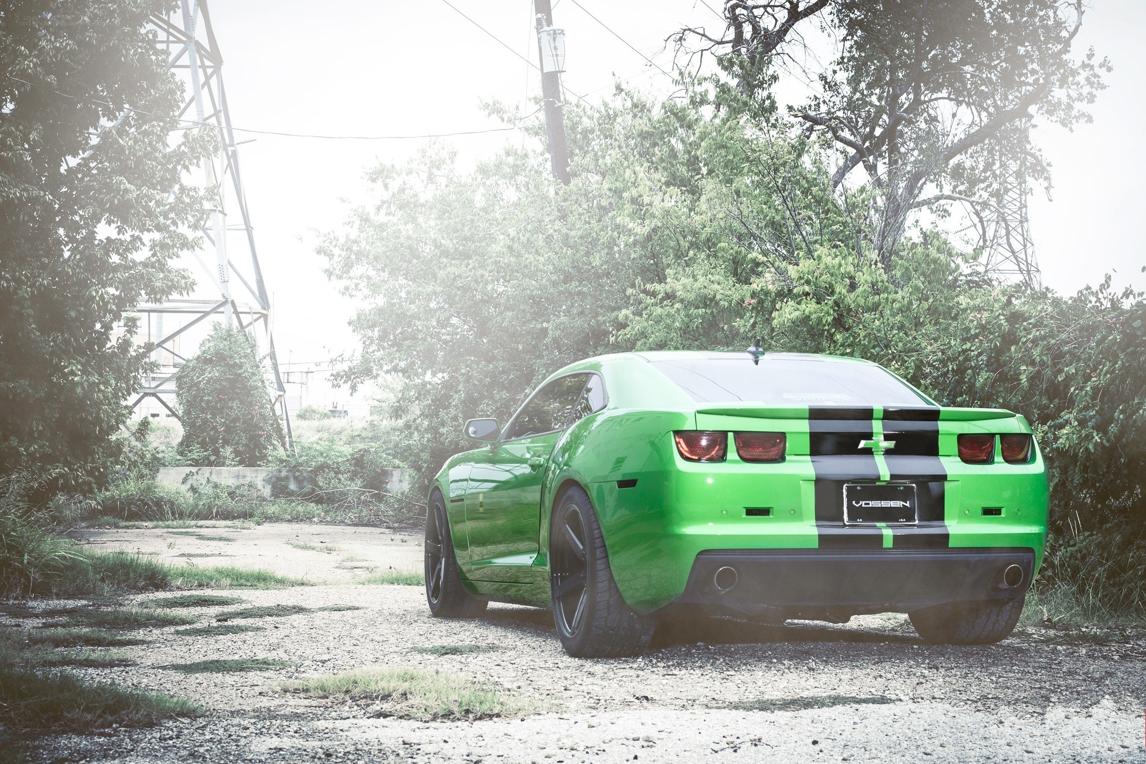green camaro with black stripes