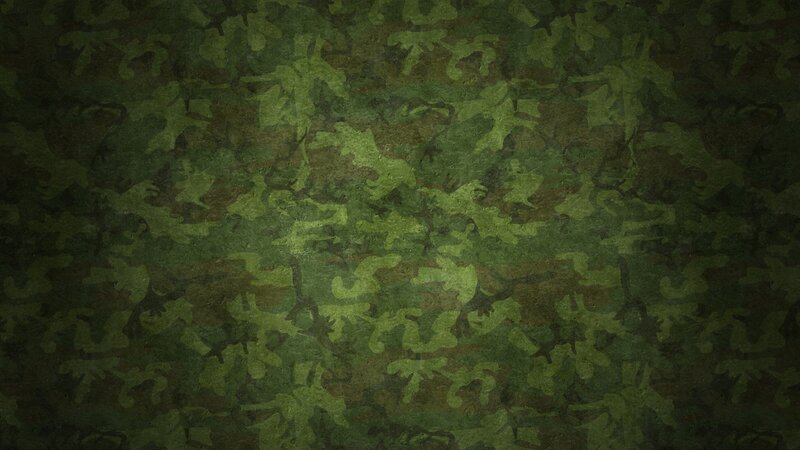 Green Camouflage Pattern — Neutral, Abstract, Brown