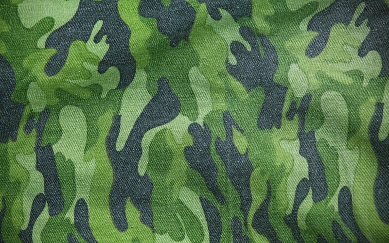 Green Camouflage Pattern — Neutral, Photograph
