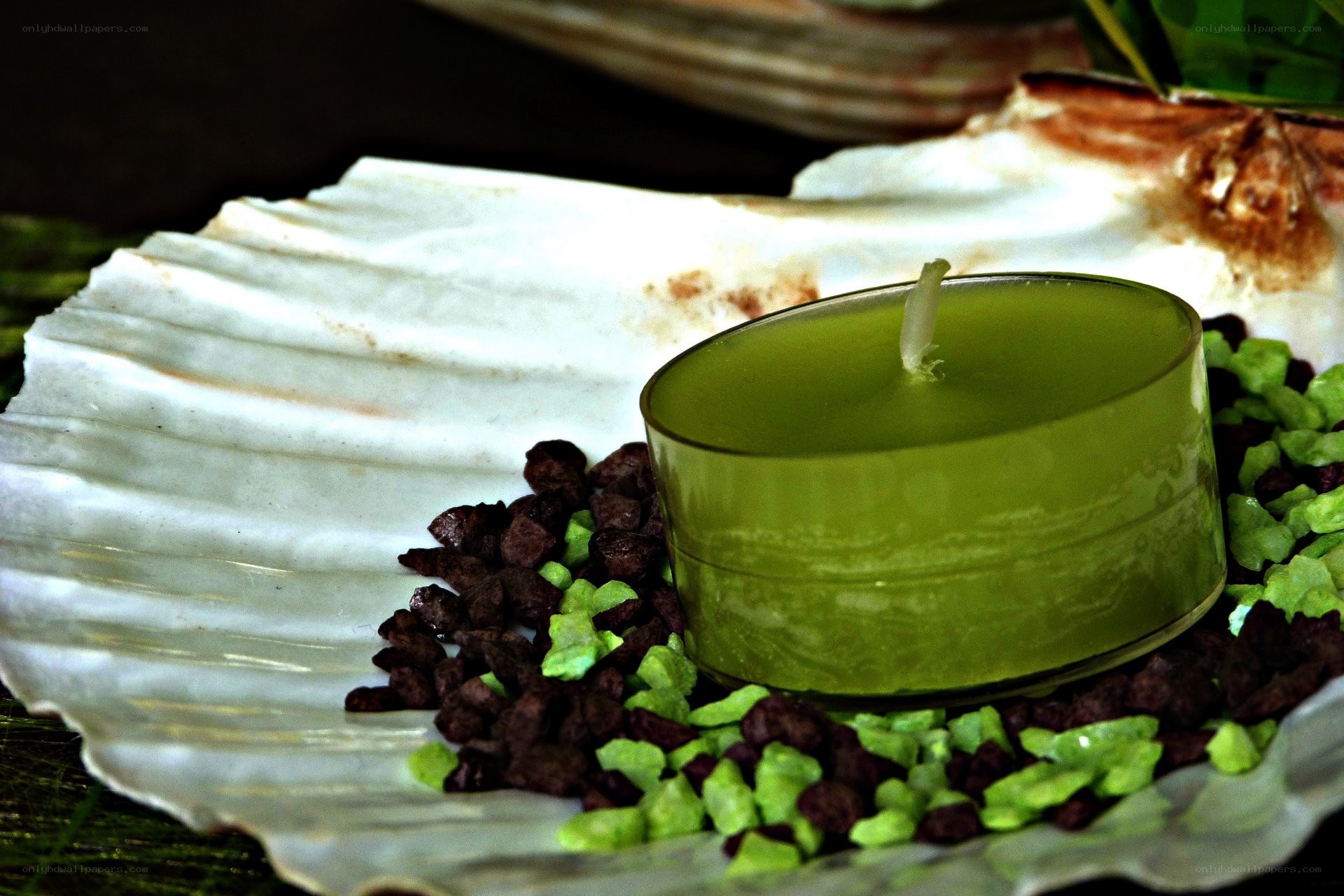 green candle in shell