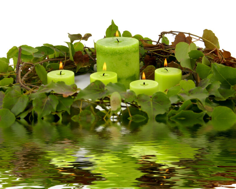 Green Candles in Leaves