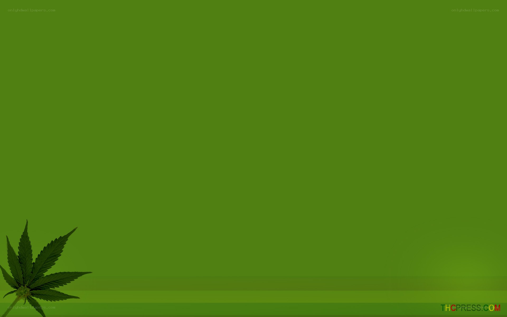 green cannabis leaf background
