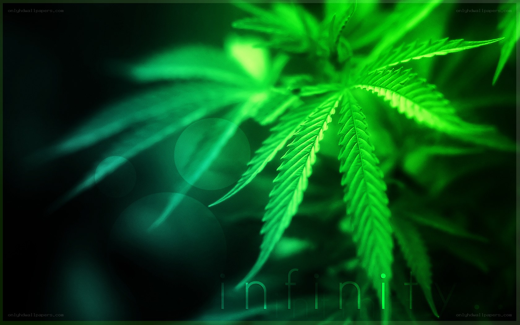 green cannabis leaf close-up
