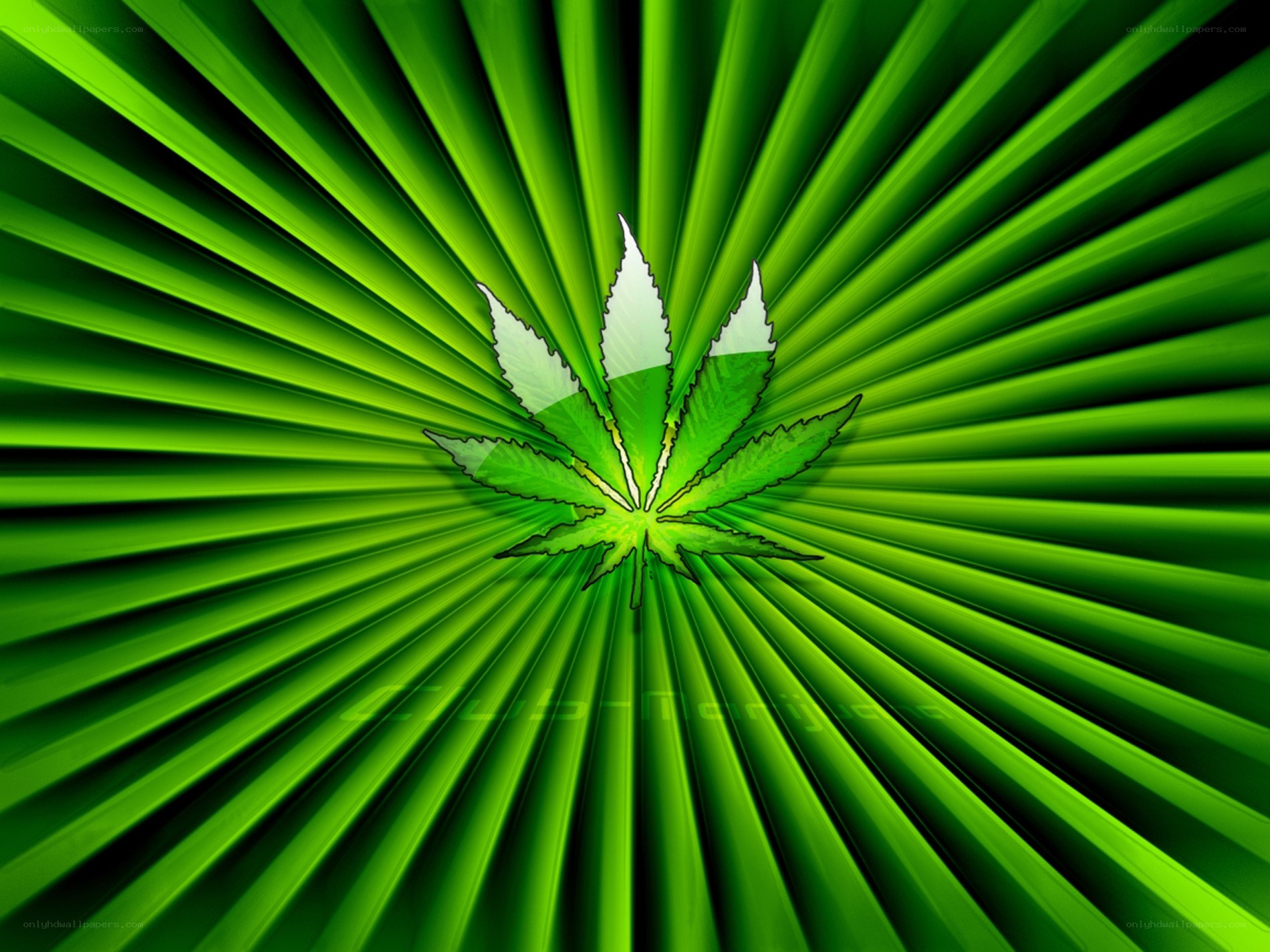 Green cannabis leaf design