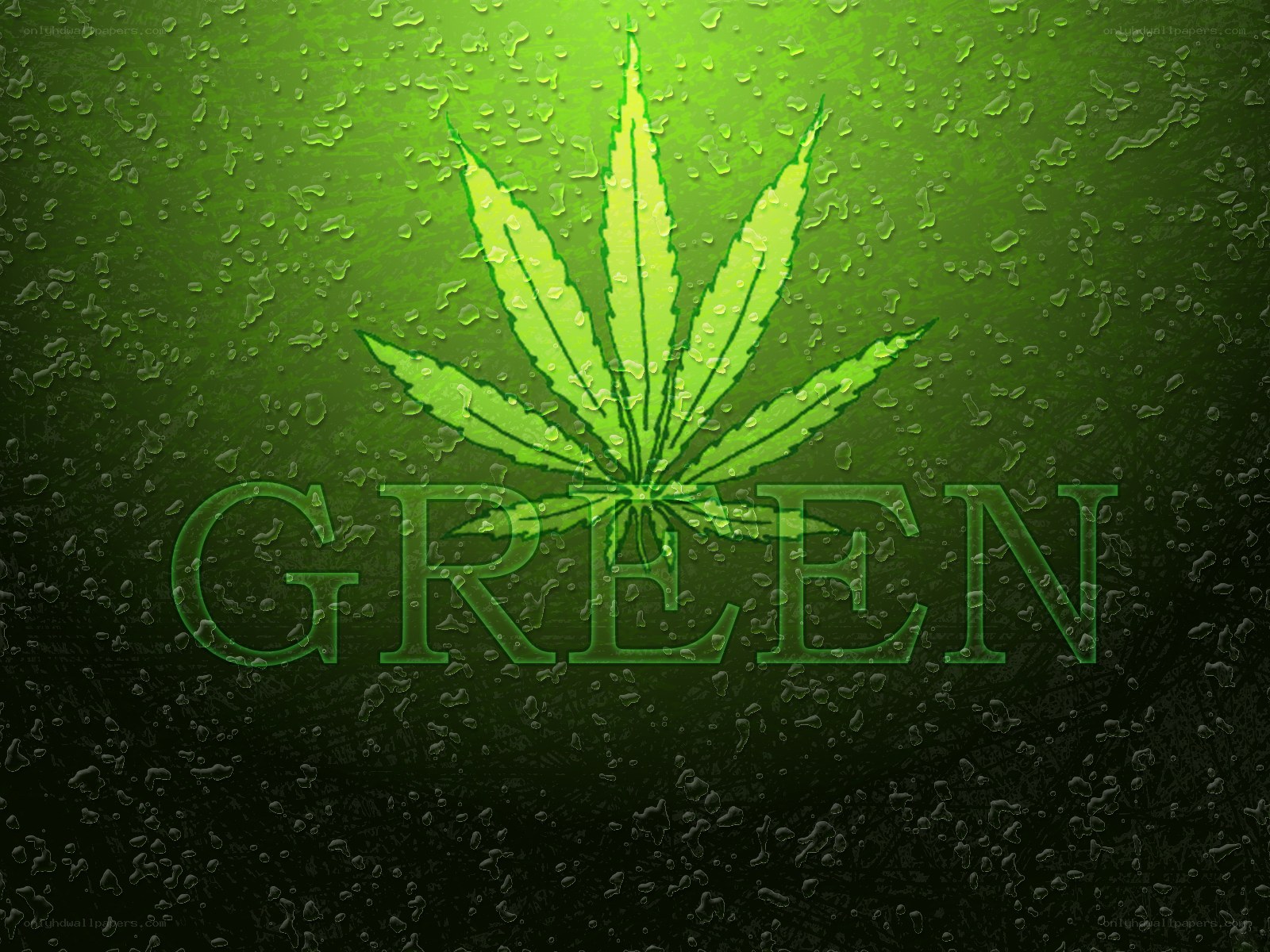 Green cannabis leaf design