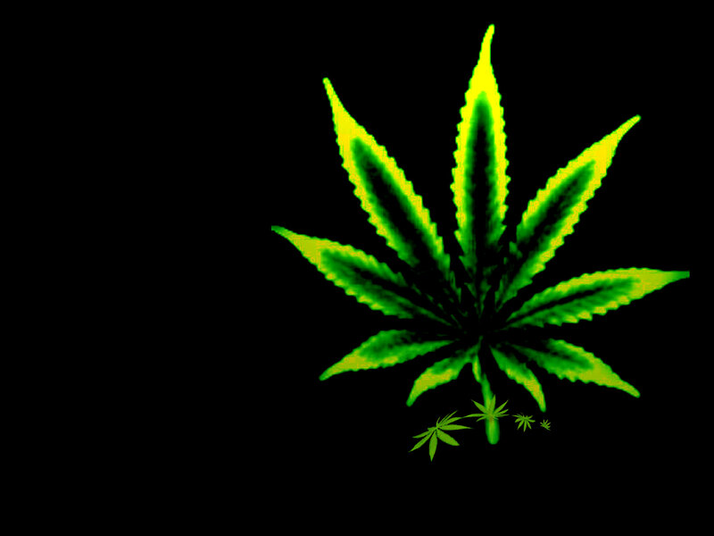 green cannabis leaf graphic