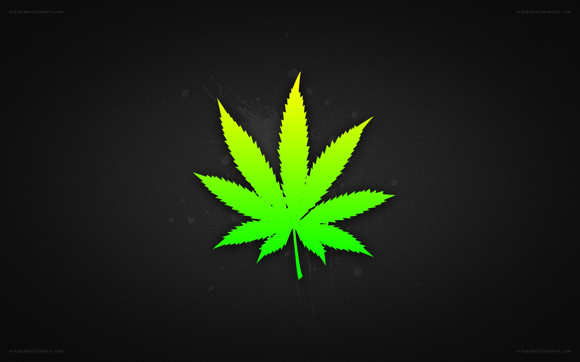 green cannabis leaf on black