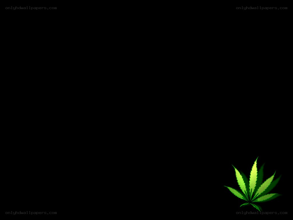 green cannabis leaf on black