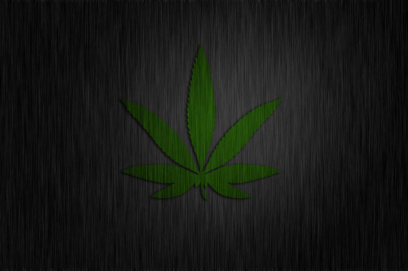 green cannabis leaf on dark background